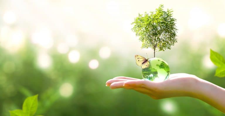 Formation psychologie positive