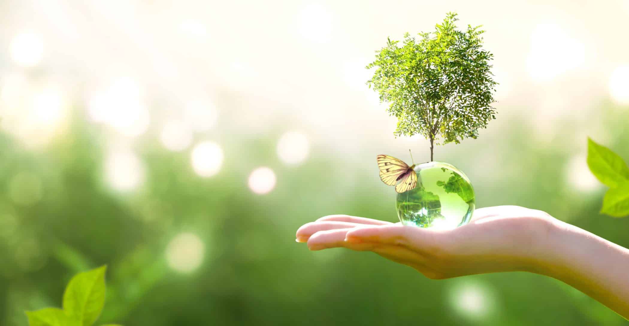 Formation psychologie positive